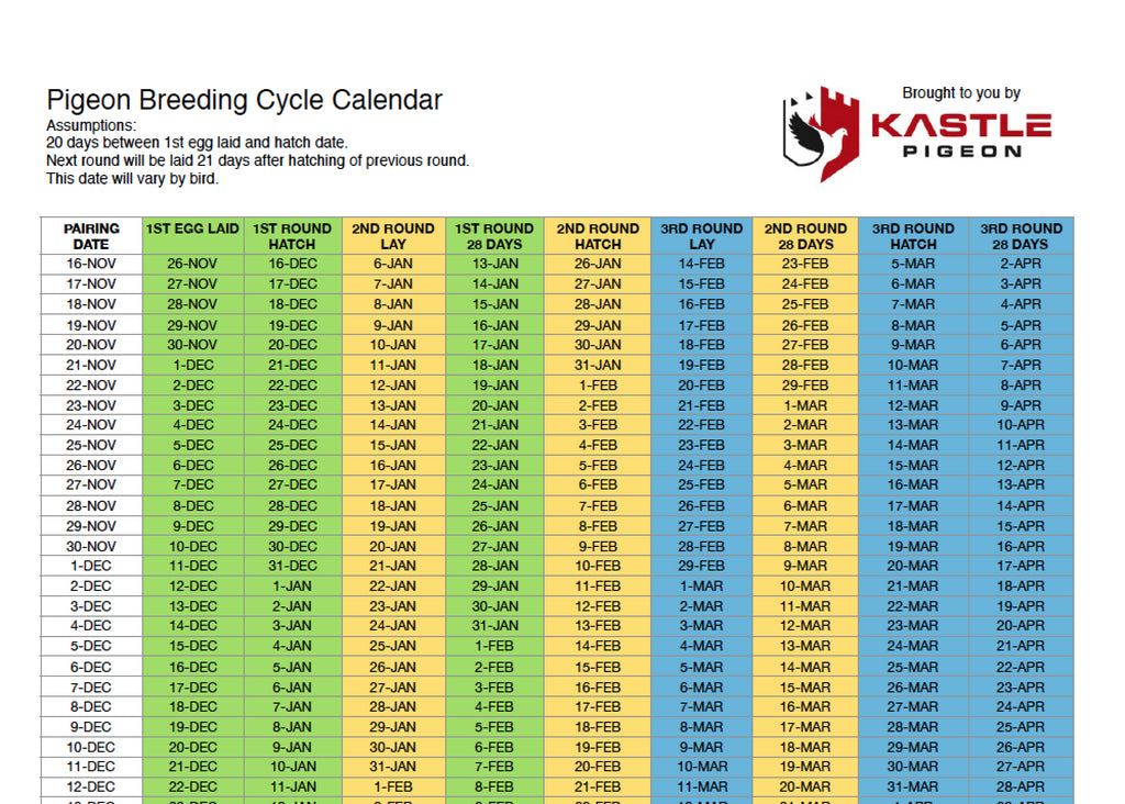 Pigeon Breeding Cycle Calendar