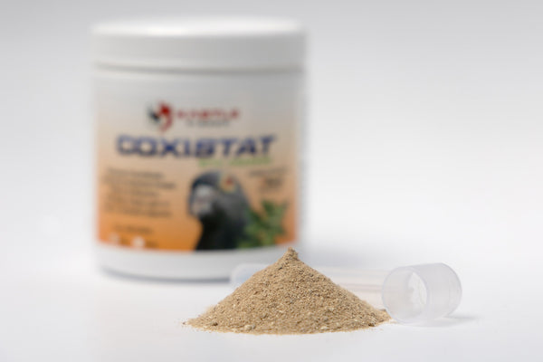 Kastle Pigeon Coxistat Coccidiosis treatment and prevention for pigeons and chickens