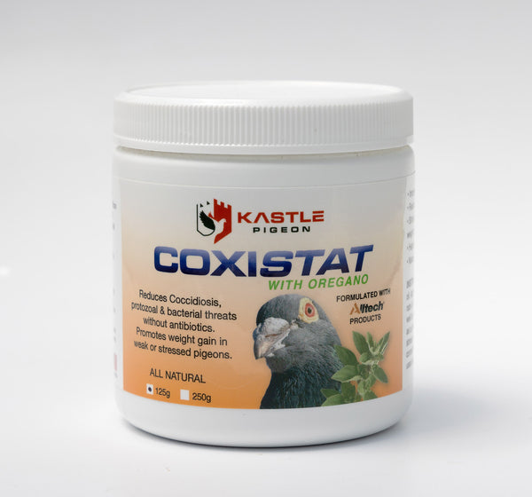 Kastle Pigeon Coxistat Coccidiosis treatment and prevention for pigeons and chickens