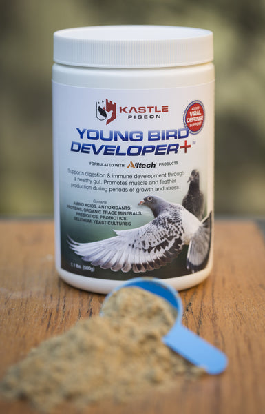 virus support health supplement probiotics for young pigeons